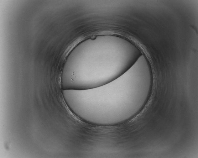 X0000100371193200806060754