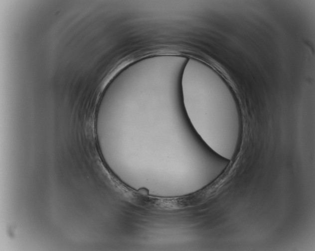 X0000100371194200806060754