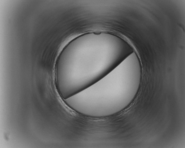 X0000100371195200806060754