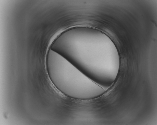 X0000100371196200806060754