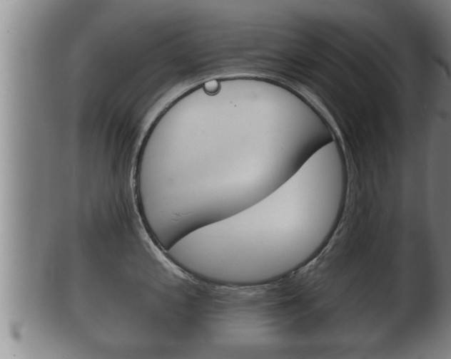 X0000100371197200806060754