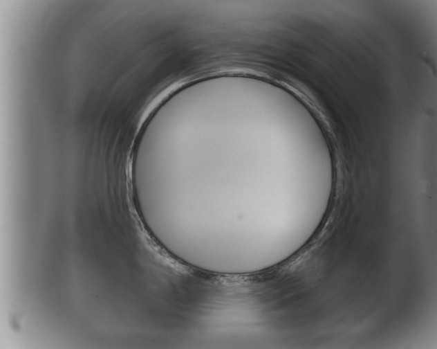 X0000100371198200806060754