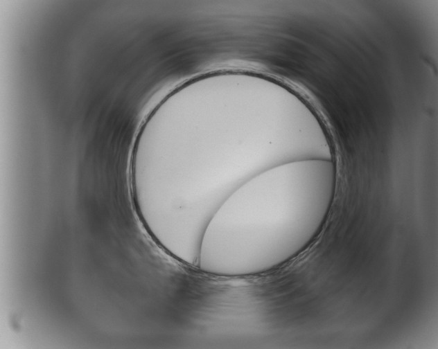 X0000100371199200806060754