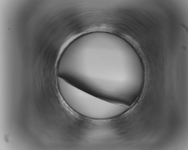 X0000100371200200806060754