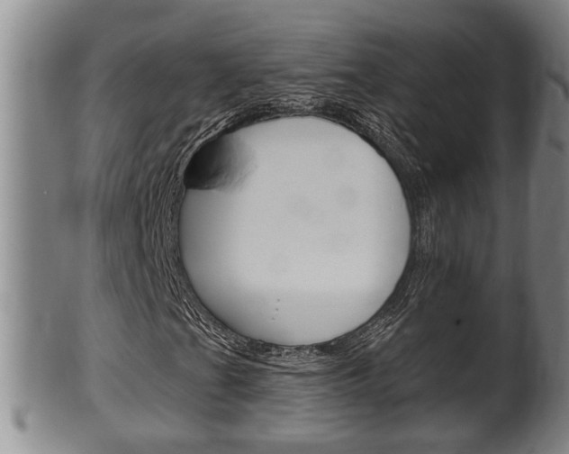 X0000100371201200806060753