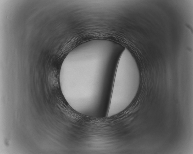 X0000100371202200806060753