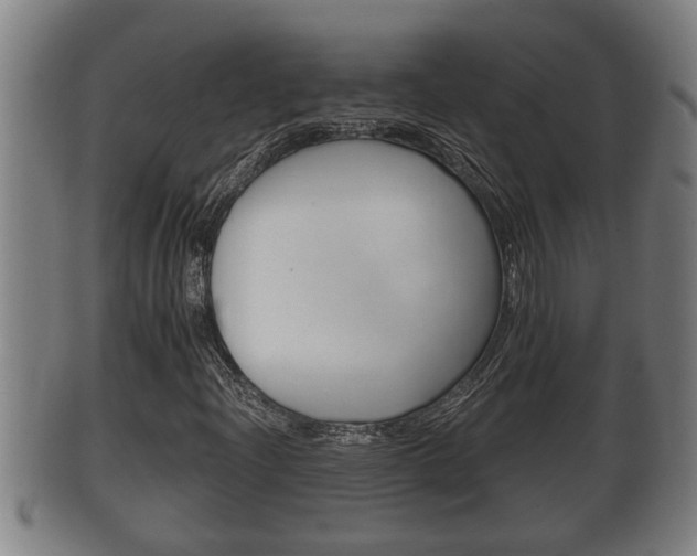 X0000100371204200806060753