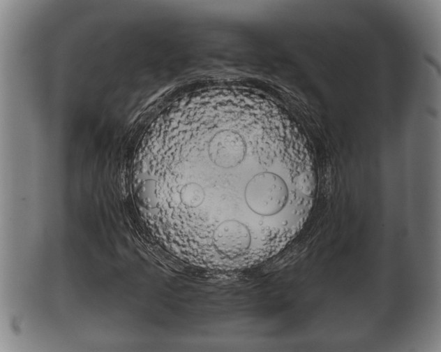 X0000100371205200806060754