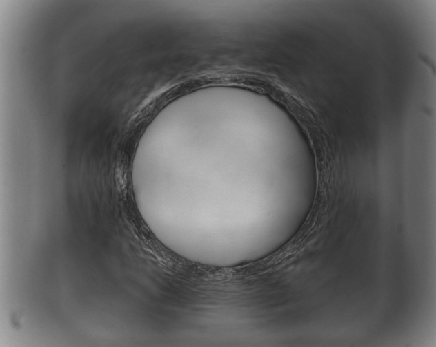 X0000100371206200806060754