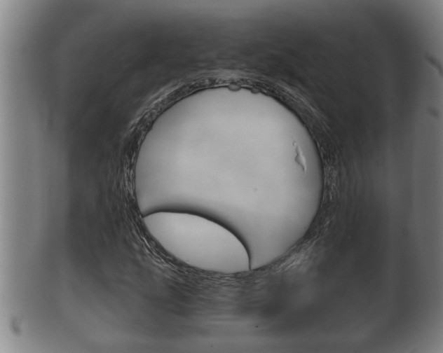 X0000100371207200806060754