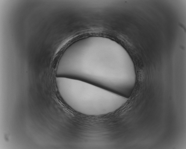 X0000100371208200806060754