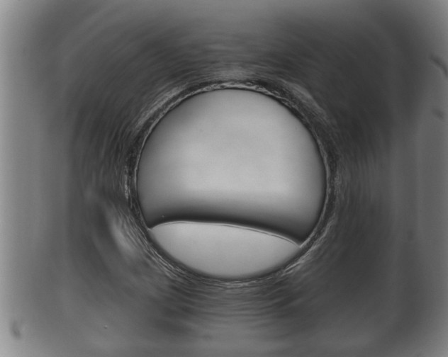 X0000100371209200806060754