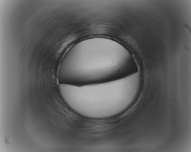 X0000100371210200806060754