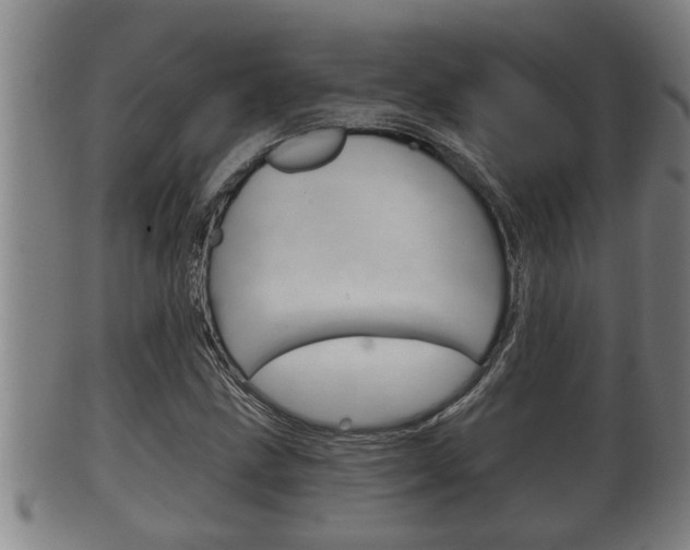 X0000100371211200806060754