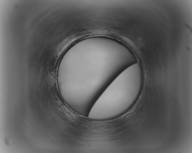 X0000100371212200806060754