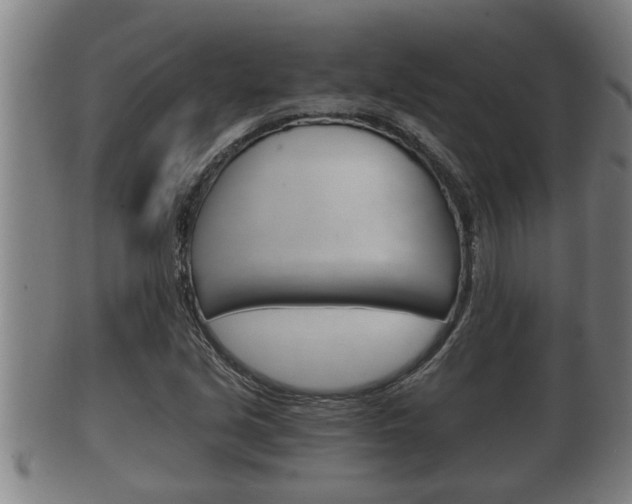 X0000100371213200806060754