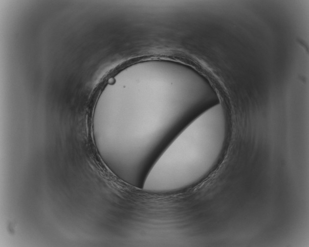 X0000100371214200806060754