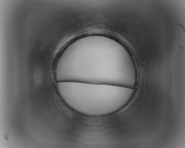 X0000100371215200806060754