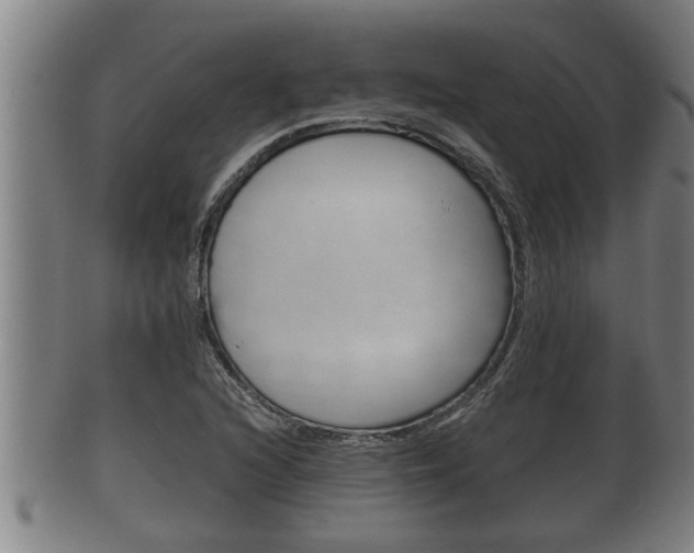 X0000100371216200806060754