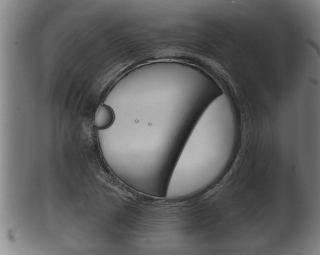 X0000100371217200806060754