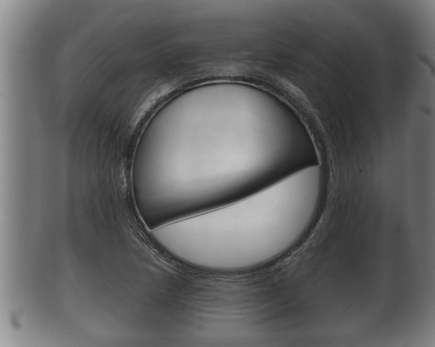 X0000100371218200806060754