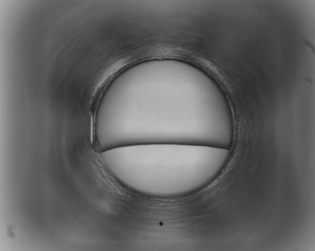 X0000100371219200806060754
