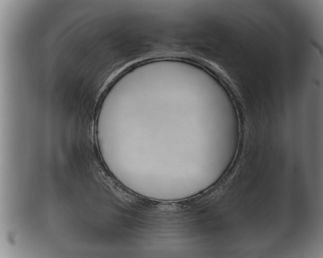X0000100371220200806060754