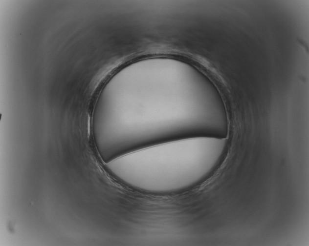 X0000100371221200806060754