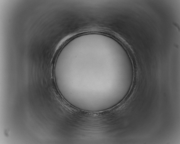 X0000100371222200806060754