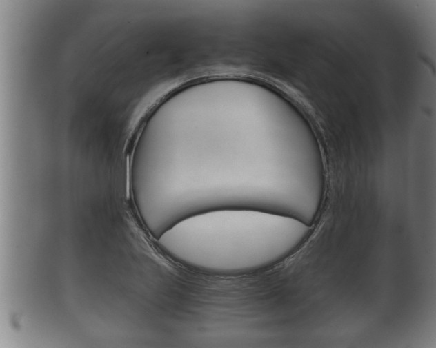 X0000100371223200806060754