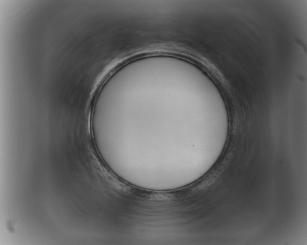 X0000100371224200806060754
