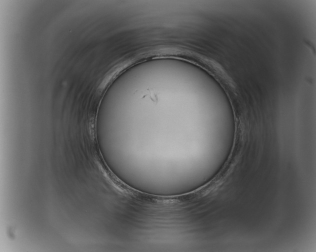 X0000100371225200806060754