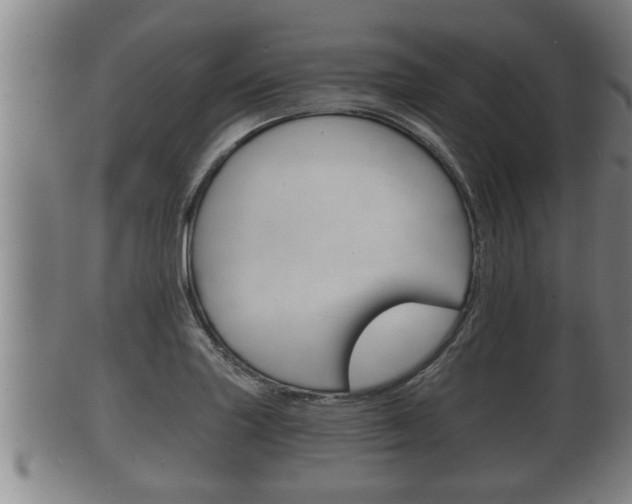 X0000100371227200806060754
