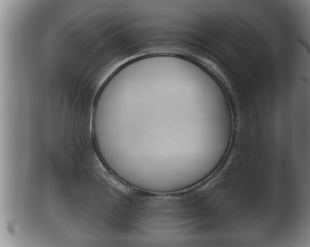 X0000100371228200806060754