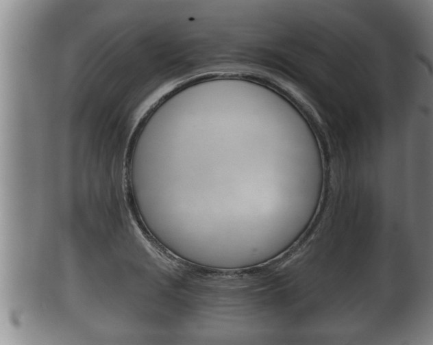X0000100371229200806060754