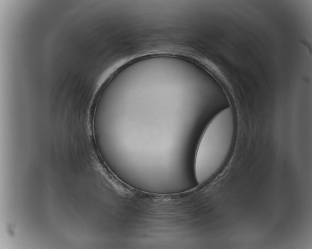 X0000100371230200806060754