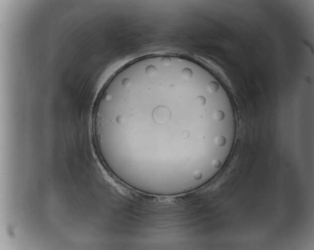 X0000100371231200806060754