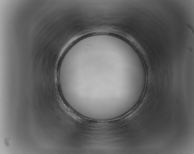 X0000100371232200806060754