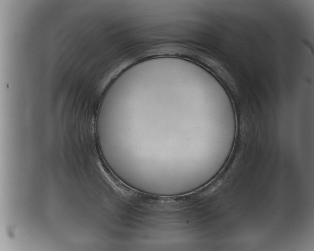 X0000100371233200806060754