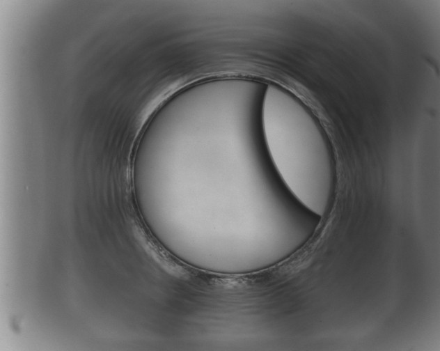 X0000100371234200806060754