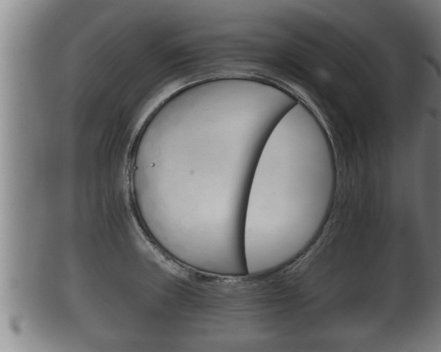 X0000100371235200806060754