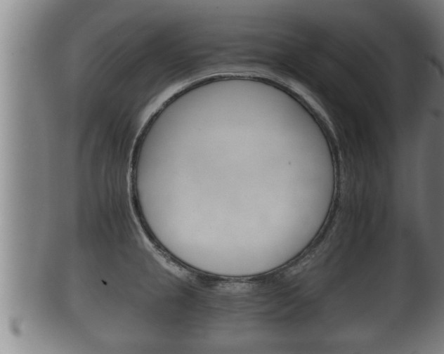 X0000100371237200806060754