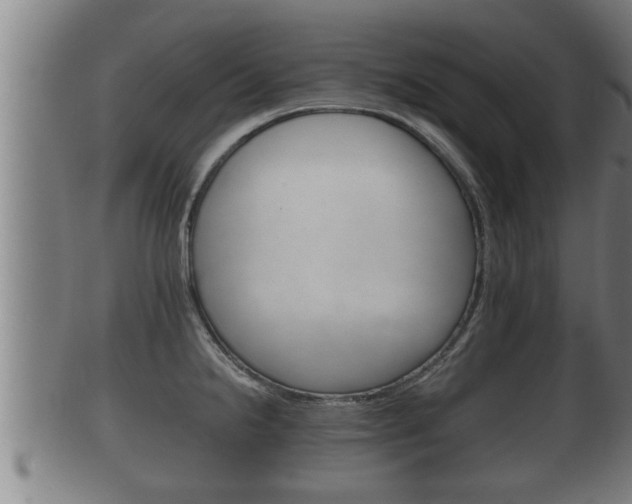 X0000100371238200806060754