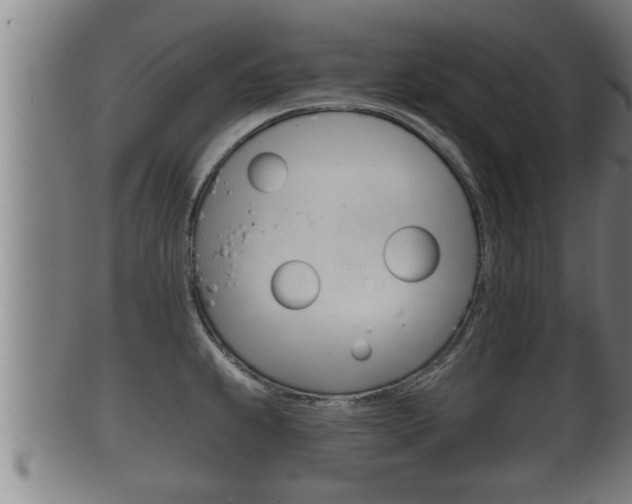 X0000100371239200806060754