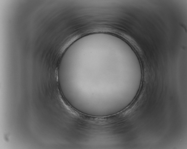 X0000100371241200806060754