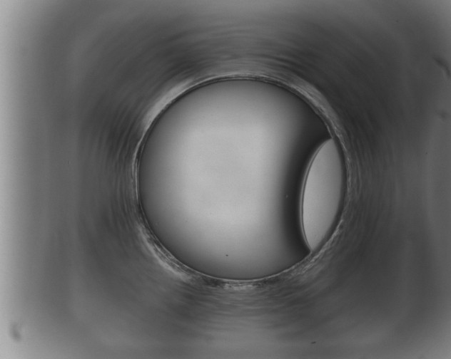 X0000100371242200806060754