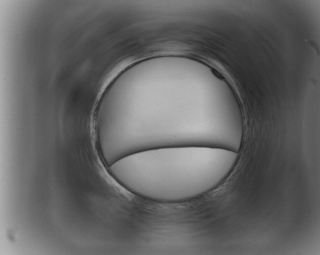 X0000100371243200806060754