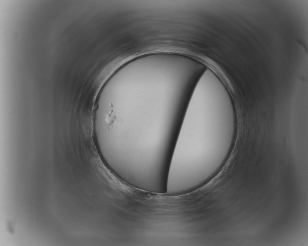 X0000100371244200806060754