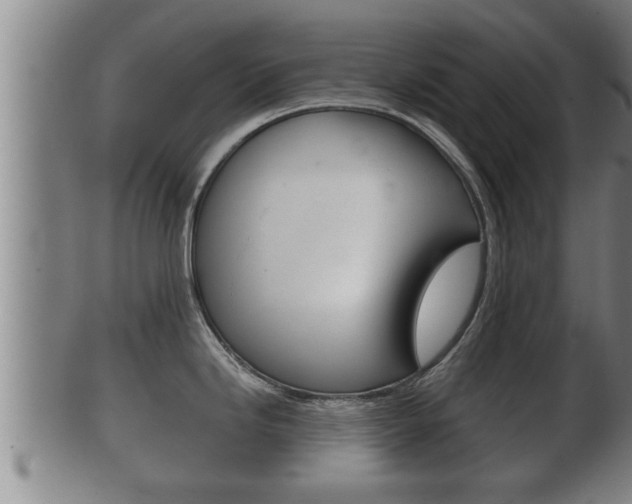 X0000100371246200806060754
