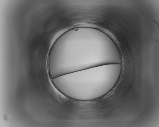 X0000100371247200806060754